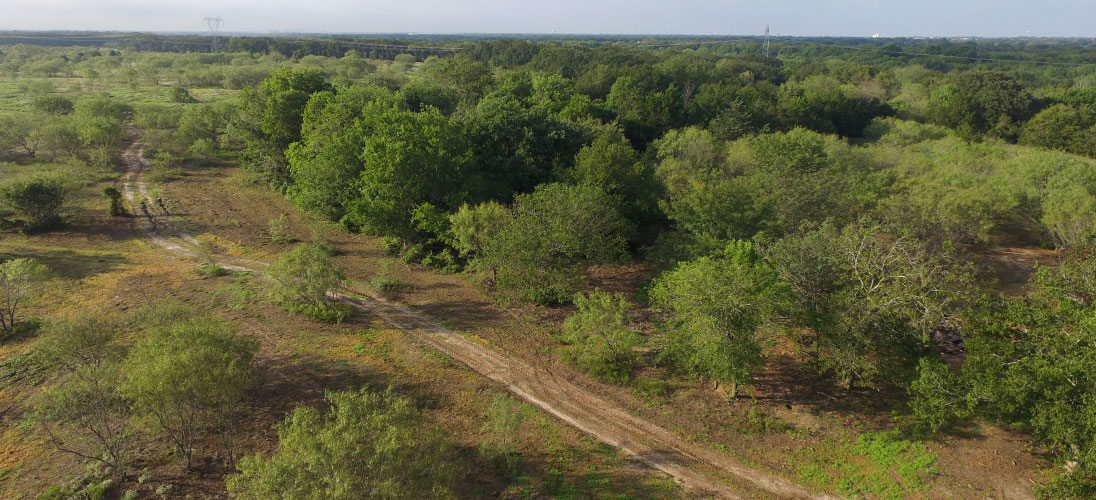Prime Prairie