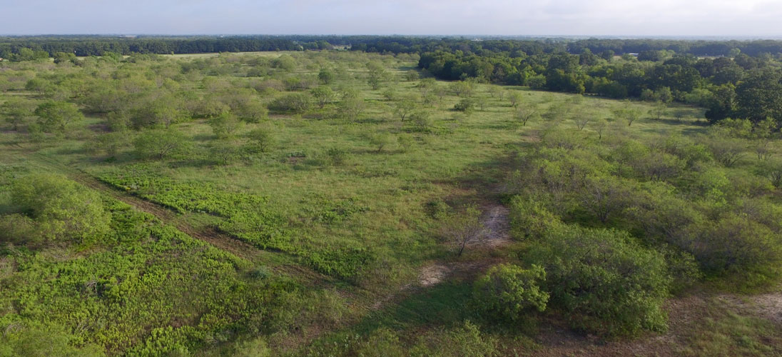 Prime Prairie