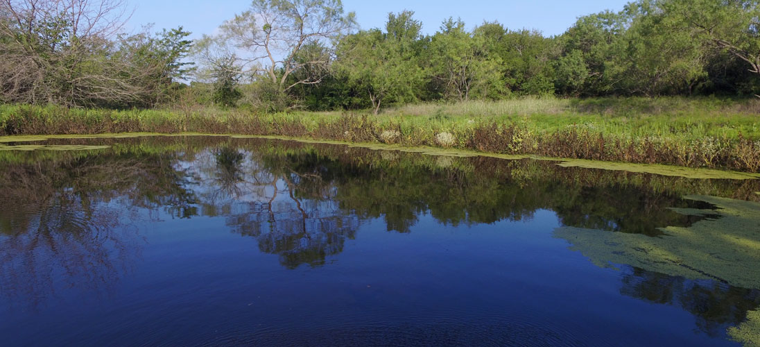 Prime Prairie